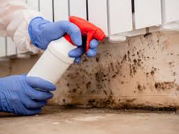 Mold Remediation for Rental Properties in Canadian, TX